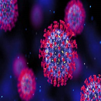 সারাদেশে আরও ১১ জনের শরীরে করোনা শনাক্ত