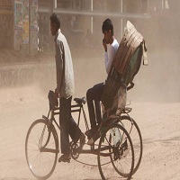 ঢাকায় গাছের অক্সিজেন যোগান ৫ শতাংশ, বাড়ছে স্বাস্থ্যঝুঁকি