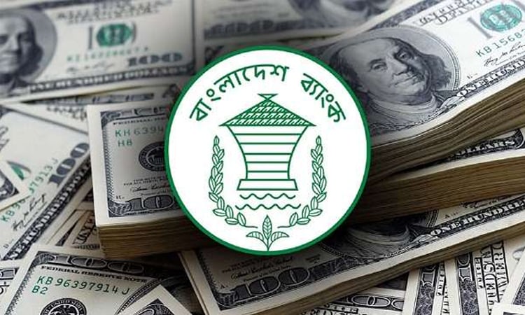 ২০২৫ সালে বিদেশি বিনিয়োগ দ্বিগুণেরও বেশি বেড়েছে