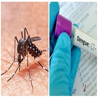 চাঁপাইনবাবগঞ্জে বাড়ছে ডেঙ্গুর থাবা : জেলায় নতুন আক্রান্ত ৬২