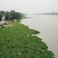 চাঁপাইনবাবগঞ্জে বেড়েই চলেছে ৩ নদীর পানি ২৪ ঘণ্টায় পদ্মায় ২০, মহানন্দায় ১৮ ও পুনর্ভবায় ২৩ সে.মি. পানি বৃদ্ধি