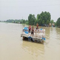 পানি স্থির পদ্মায়, বেড়েছে মহানন্দা ও পুনর্ভবায়