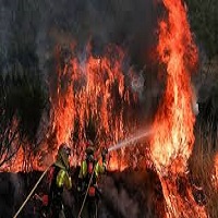 উষ্ণতা ও  ভয়াবহ দাবানলে বিপর্যস্ত ইউরোপ