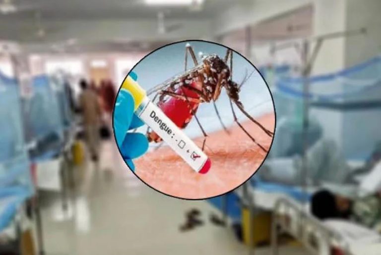 ডেঙ্গু আক্রান্ত হয়ে ২৪ ঘণ্টায় হাসপাতালে ভর্তি ২৪৫