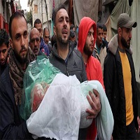 যুদ্ধবিরতির পরেও গাজায় হামলা চালাচ্ছে ইসরায়েল, নিহত বেড়ে ২৭৯