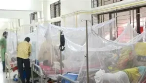 ২৪ ঘণ্টায় ডেঙ্গুতে আক্রান্ত হয়ে হাসপাতালে ১১১