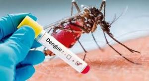 ডেঙ্গুতে আরও দুইজনের মৃত্যু, হাসপাতালে ভর্তি ৬১০
