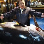 এক টুনা মাছের দাম ৩৯ কোটি টাকা!