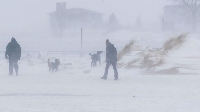 তুষারঝড়ে বিপর্যস্ত যুক্তরাষ্ট্র, প্রা*ণ*হা*নি বেড়ে ৩০