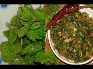 পুদিনা পাতার ভর্তা তৈরির রেসিপি