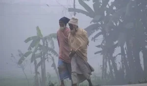 ১৭ জেলায় বইছে শৈত্যপ্রবাহ, ঘন কুয়াশার পূর্বাভাস