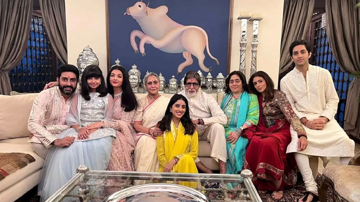 বচ্চন পরিবারে বিদ্যার দৌড়ে কে এগিয়ে?