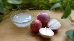 পেঁয়াজের রসের সঙ্গে কী মেশালে ত্বকের উজ্জ্বলতা বাড়বে