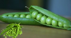৫ উপকারিতা জেনে নিন মটরশুঁটি খাওয়ার