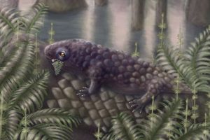 প্রথম উদ্ভিদভোজী স্থলপ্রাণীর সন্ধান পেলেন বিজ্ঞানীরা