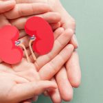 সুস্থ কিডনির রহস্য লুকিয়ে আছে যেসব খাবারে