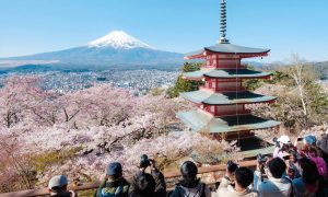পর্যটকের চাপে জাপানের ‘মাউন্ট ফুজি চেরি ব্লসম’ উৎসব বাতিল
