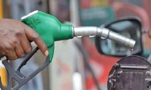 ইরানে বিদ্যুৎকেন্দ্রে হামলা স্থগিতের ঘোষণা ট্রাম্পের, কমলো তেলের দাম