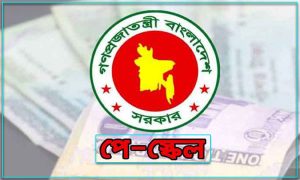 পে স্কেল বাস্তবায়নে যে নীতি বেছে নিল সরকার
