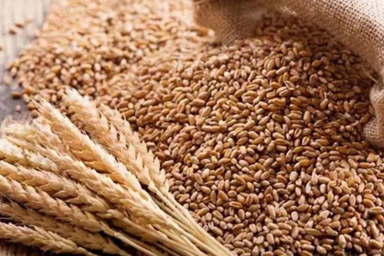 যুক্তরাষ্ট্র থেকে এলো আরও ৬২ হাজার মেট্রিক টন গম