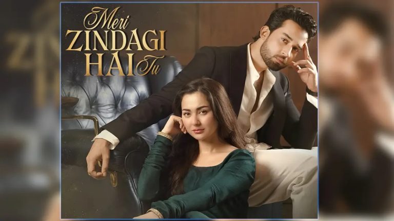 শেষ হলো হানিয়া-বিলালের ‘মেরি জিন্দেগি হ্যায় তু’