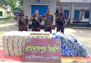 গোমস্তাপুর সীমান্তে বিজিবির অভিযানে ২২ লক্ষাধিক টাকার ভারতীয় পাতার বিড়ি ও কারেন্ট জাল জব্দ