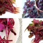 লালশাক খাওয়া যে কারণে জরুরি