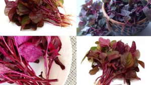 লালশাক খাওয়া যে কারণে জরুরি