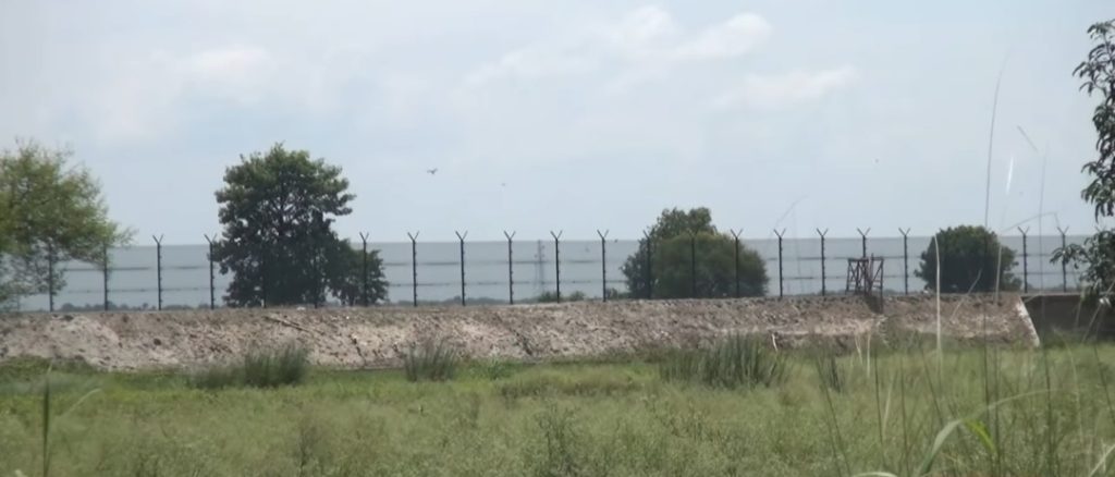  শিবগঞ্জ সীমান্তে ফসল নষ্ট করছে ভারতীয় বন্য শুকরের পাল, জমি পাহারা দিতে গিয়ে আহত হচ্ছেন কৃষকরাও