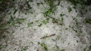 চাঁপাইনবাবগঞ্জে  ৪ উপজেলায় শিলাবৃষ্টি