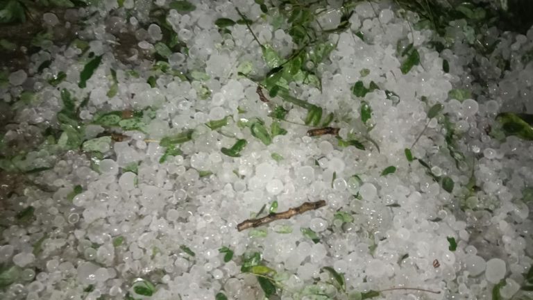 চাঁপাইনবাবগঞ্জে  ৪ উপজেলায় শিলাবৃষ্টি