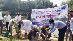 চাঁপাইনবাবগঞ্জে বৃক্ষ রোপণ কর্মসূচির উদ্বোধন