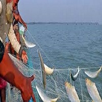 বঙ্গোপসাগরে সব ধরনের মাছ ধরায় ৫৮ দিনের নিষেধাজ্ঞা