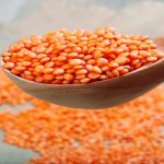 যাদের মসুর ডাল খাওয়া ঠিক নয়