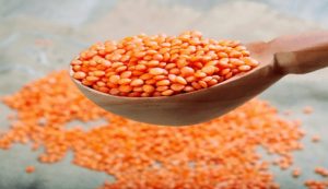 যাদের মসুর ডাল খাওয়া ঠিক নয়
